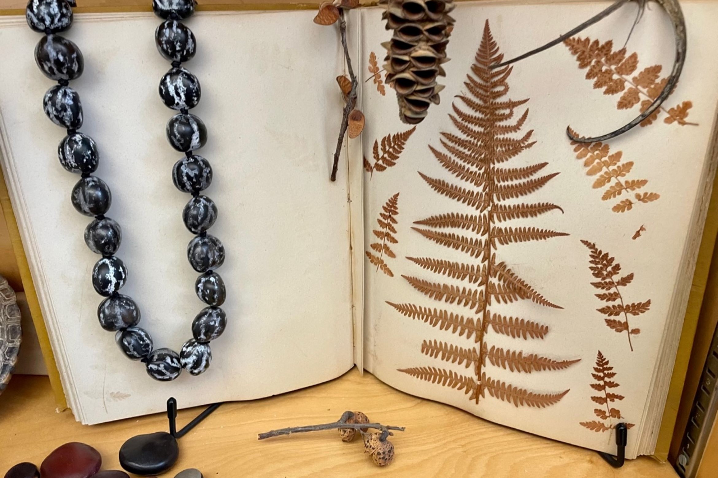 Different kinds of seeds arranged around and on a book open to a page with a dried fern on it